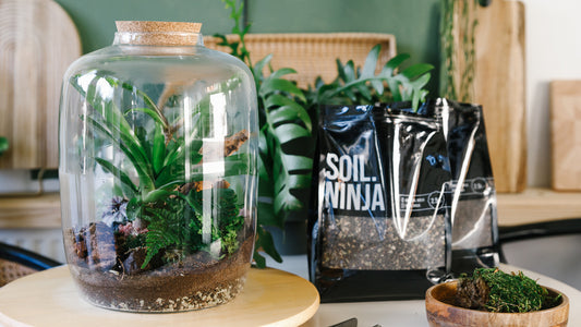 Understanding Open vs. Closed Terrariums