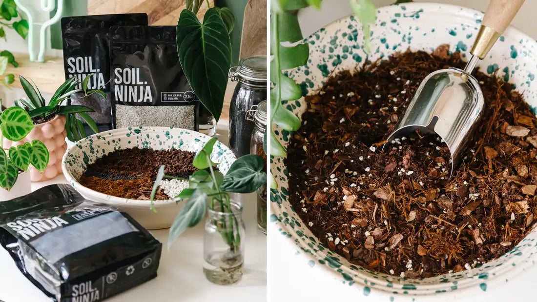 Lets make a Tree Fern Fibre, Aroid Blend!