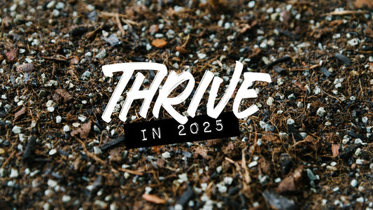 Thrive in 2025