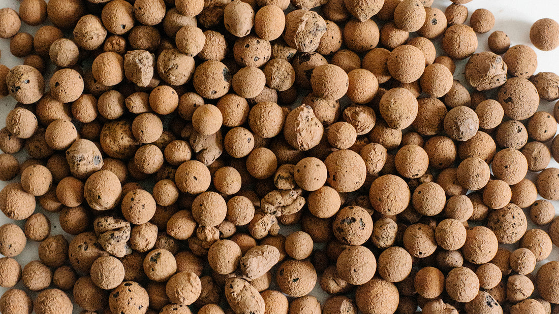 Understanding Clay Pebbles - The Soil Ninja Component Guide