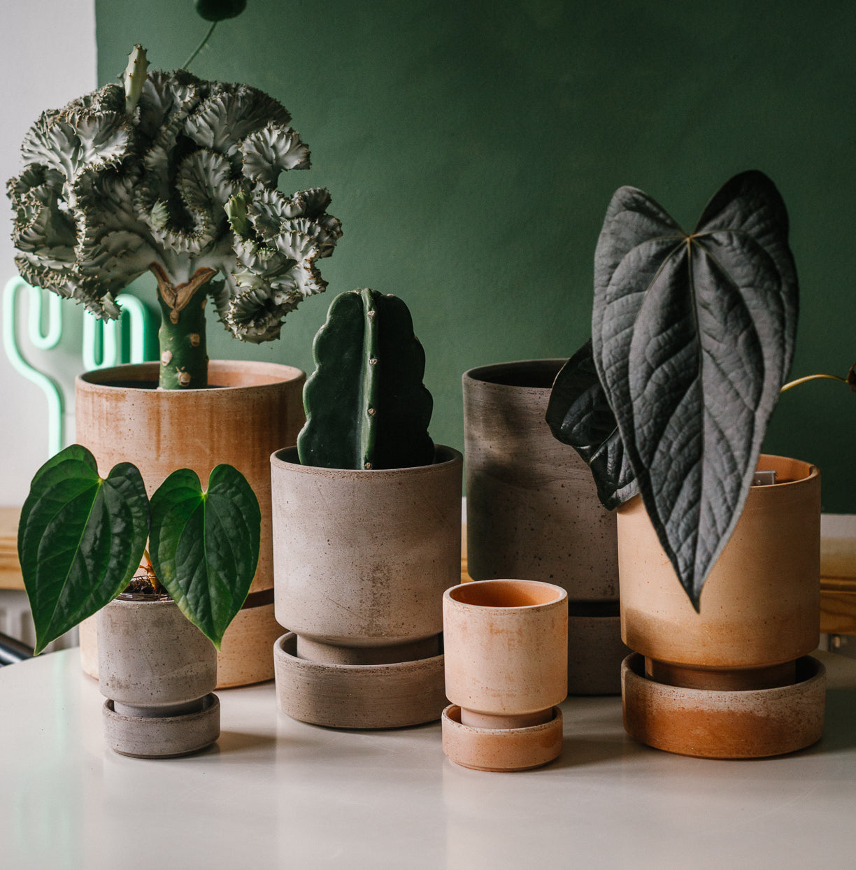 hoff plant pot Hoff Plant Pot – Soil Ninja