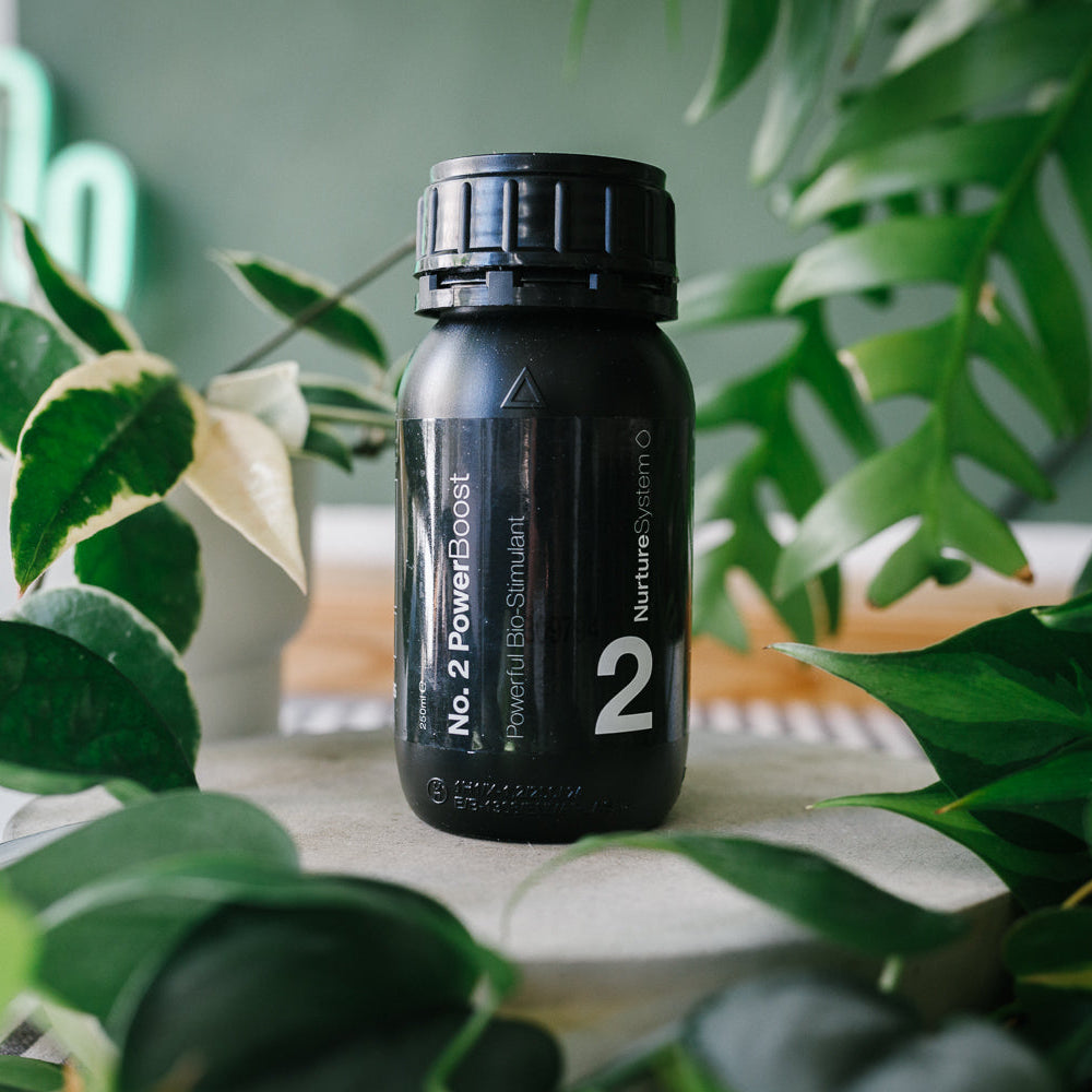 No.2 PowerBoost – 250ml