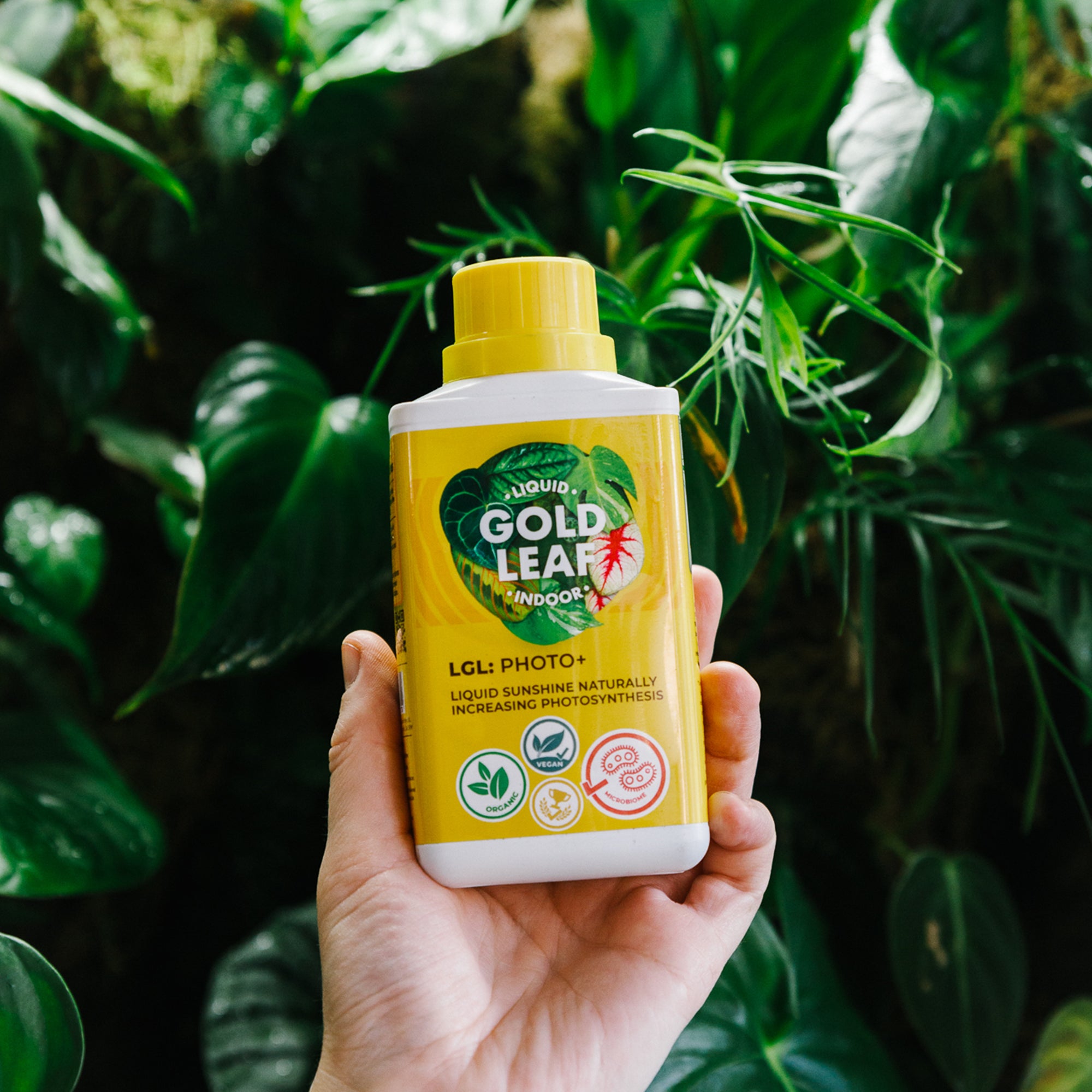 liquid gold leaf plant fertilizer Liquid Gold Leaf: Photo+ 250ml – Soil Ninja