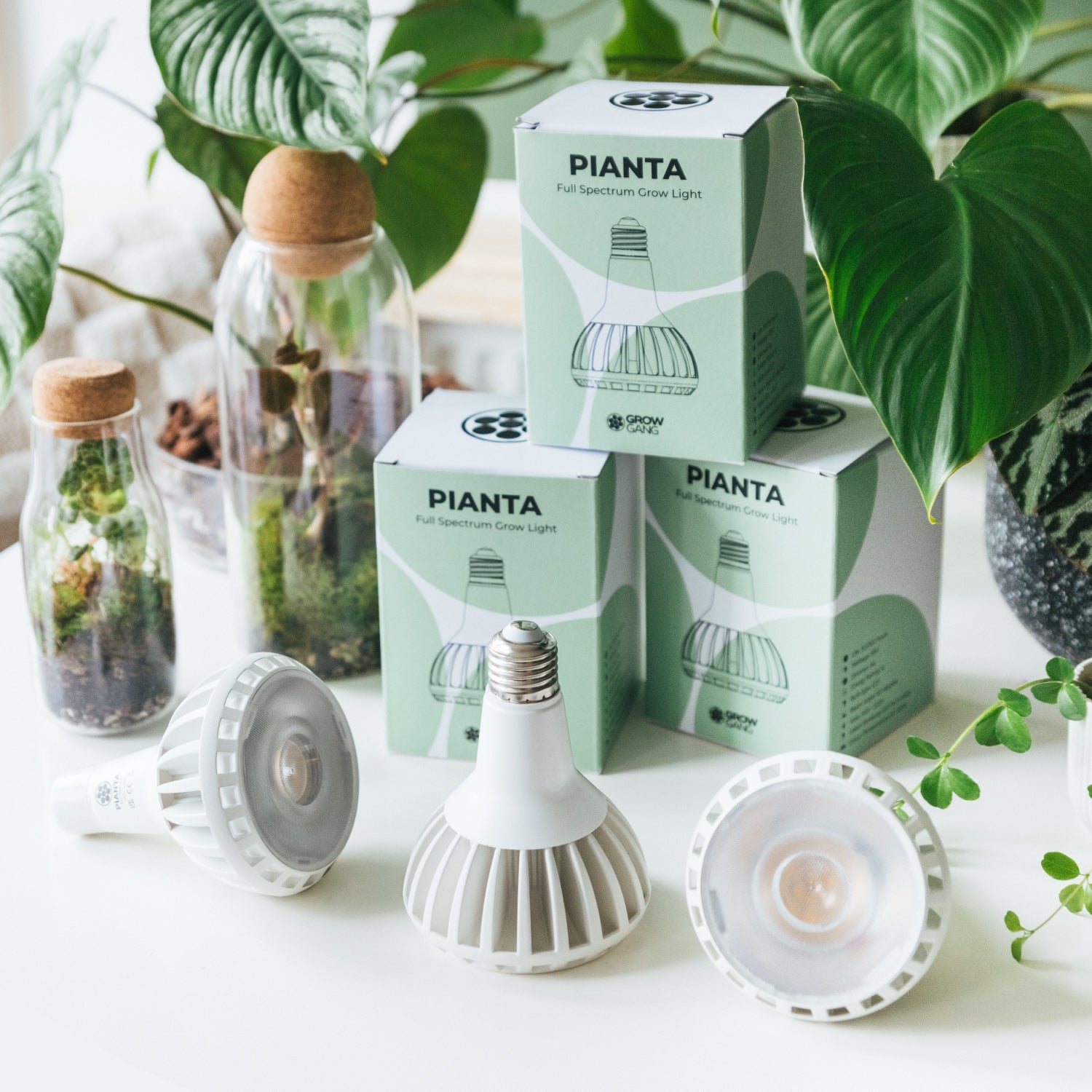 planta app grow light Pianta Grow Light – Soil Ninja