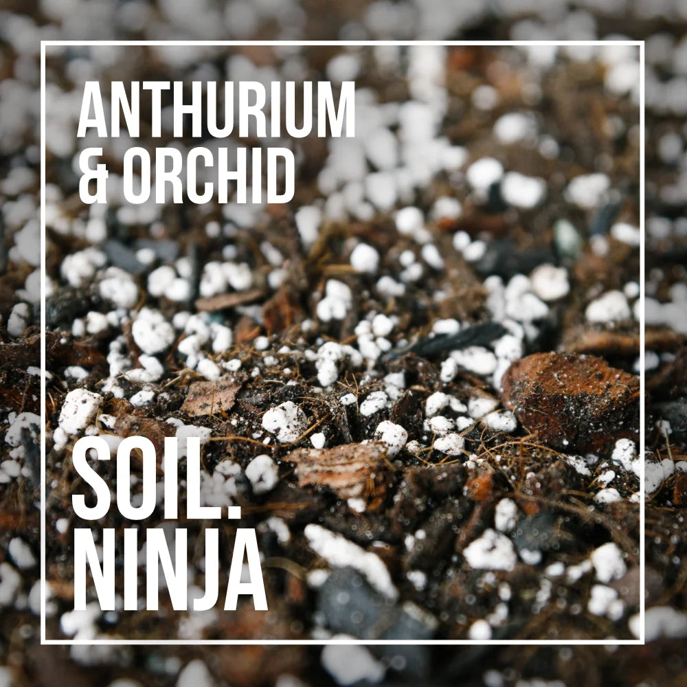 anthurium andraeanum soil Premium Anthurium and Orchid Blend – Soil Ninja