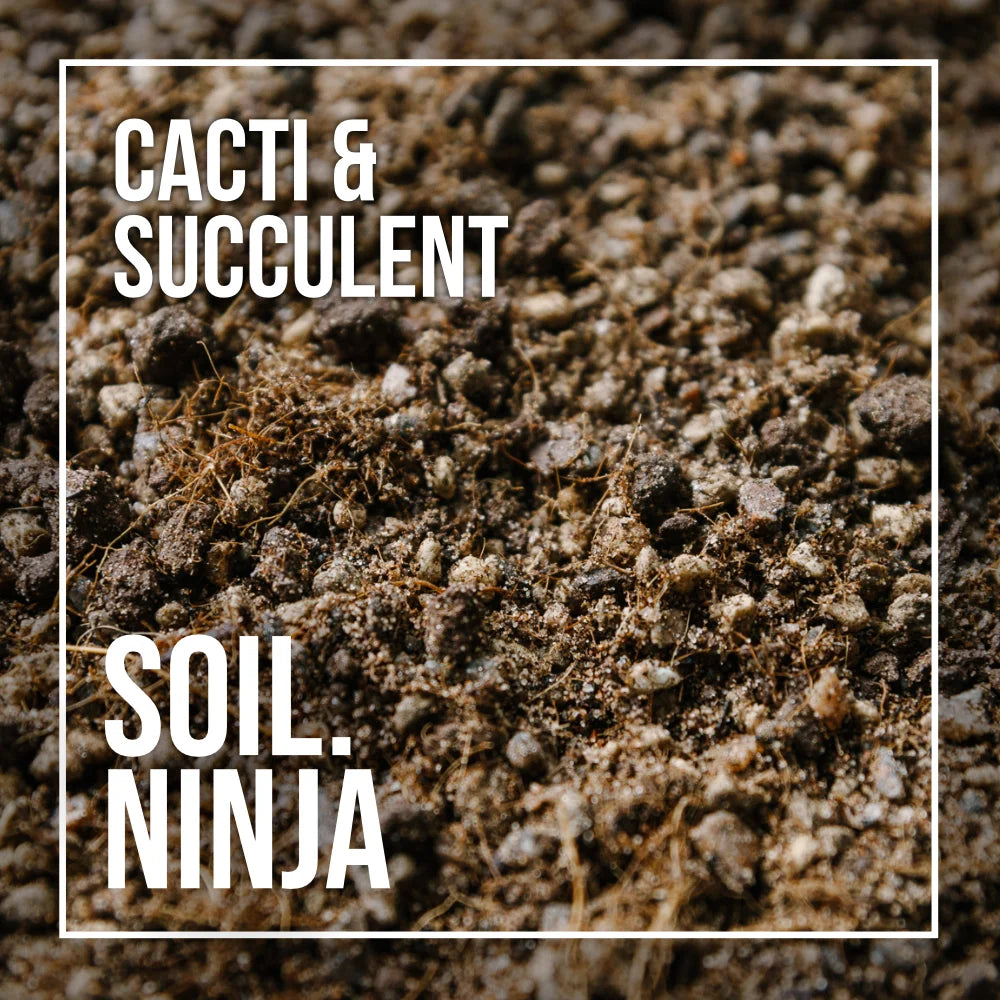 cacti succulent soil Premium Cacti & Succulent Blend – Soil Ninja