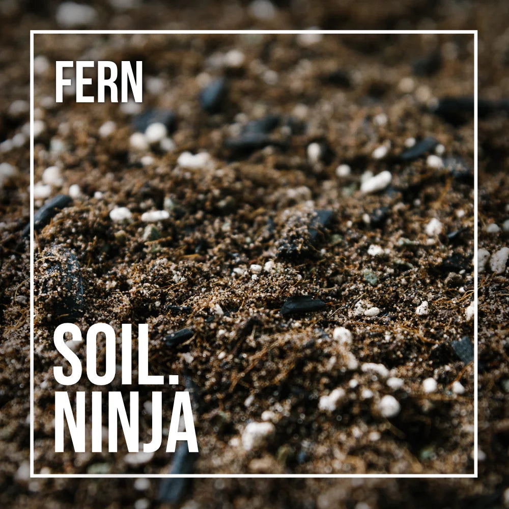 fern potting mix recipe Premium Fern Blend – Soil Ninja