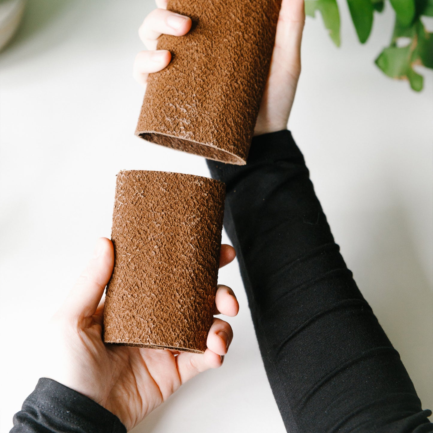 Biobased Climbing Plank