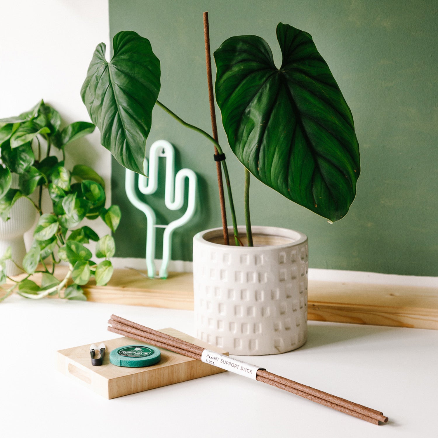 indoor plant stick Plant Support Stick – Soil Ninja