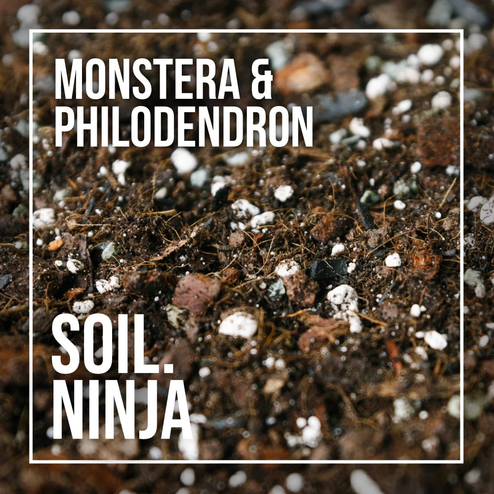 best medium for philodendron Premium Monstera & Philodendron Potting Soil – Soil Ninja