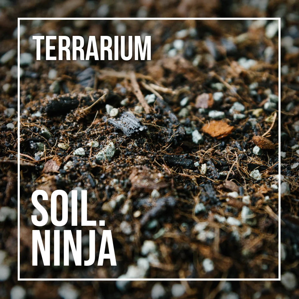 terrarium potting mix Premium Terrarium Blend – Soil Ninja