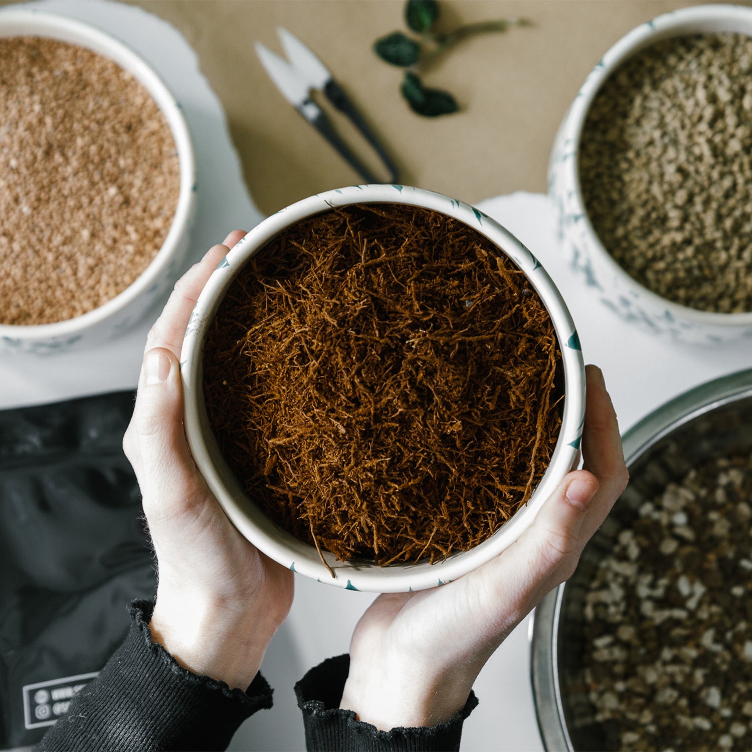tree fern potting mix Tree Fern Fibre – Soil Ninja