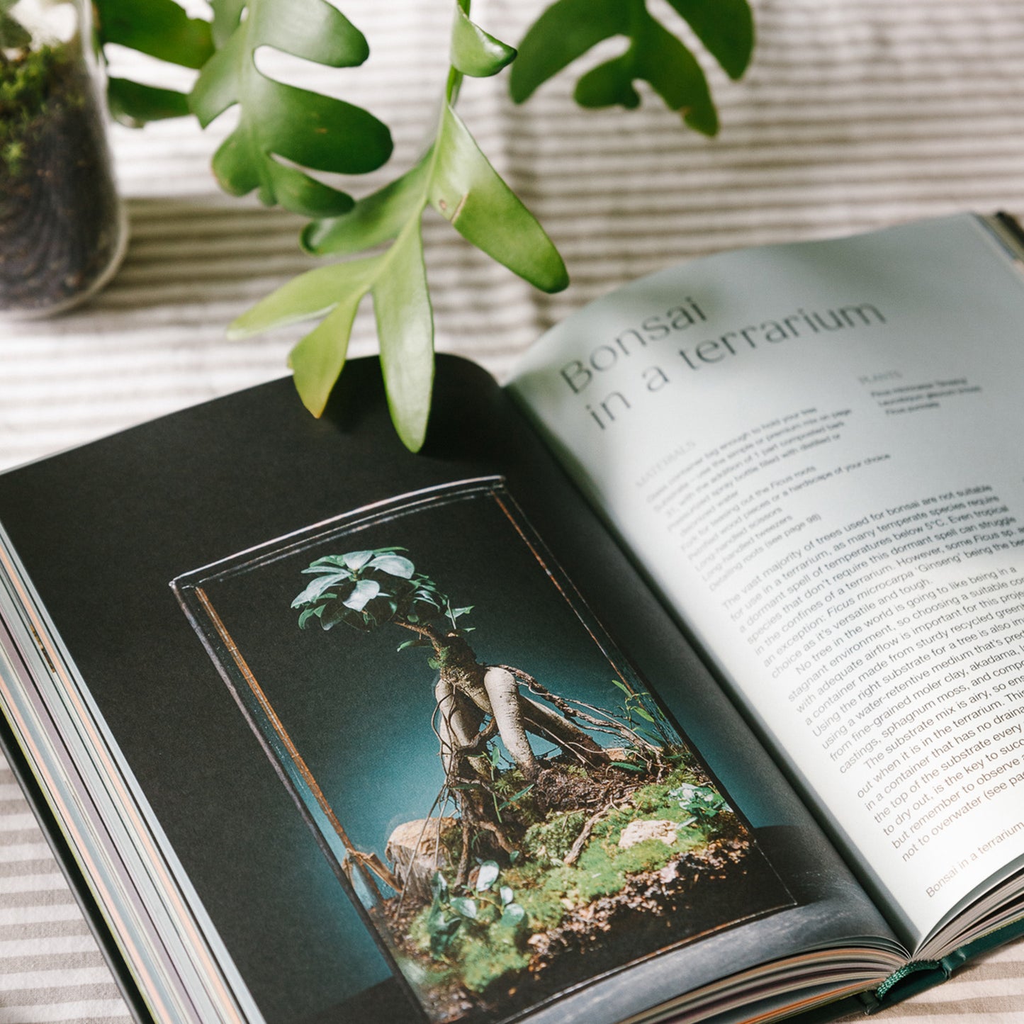 Hello Tiny World - Ben Newell