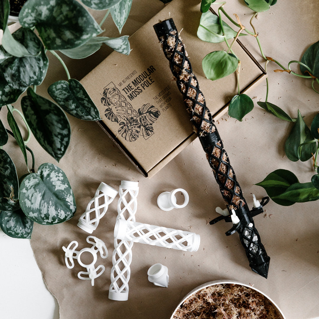 moss pole kit 3D Printed Moss Poles – Soil Ninja