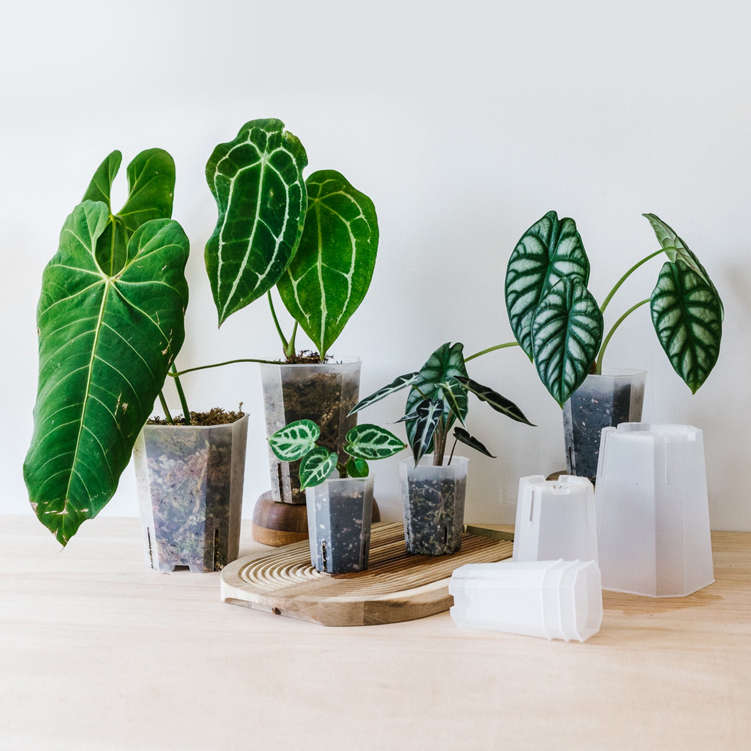 plant tower pots Aroid Tower Pots – Soil Ninja