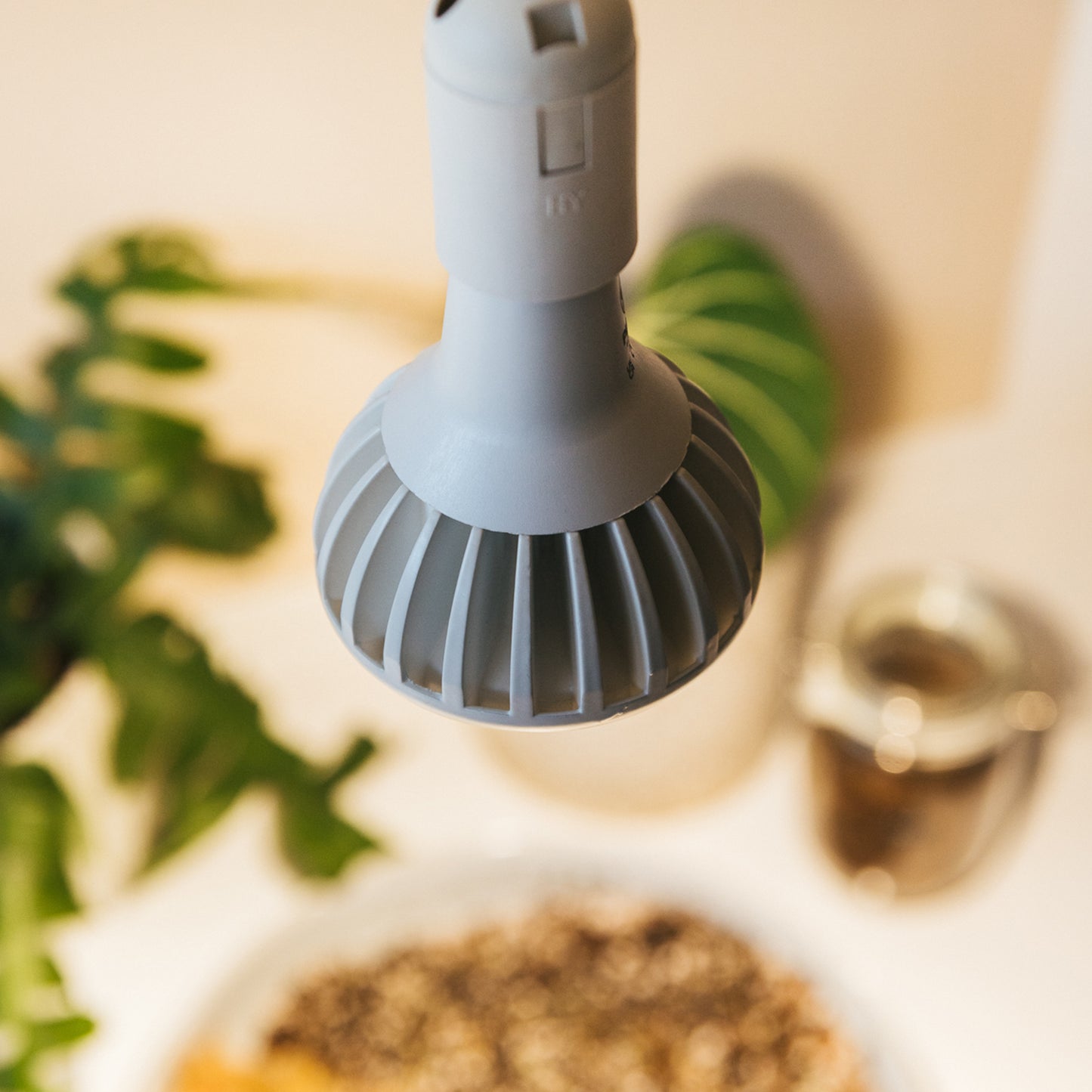Pianta Grow Light