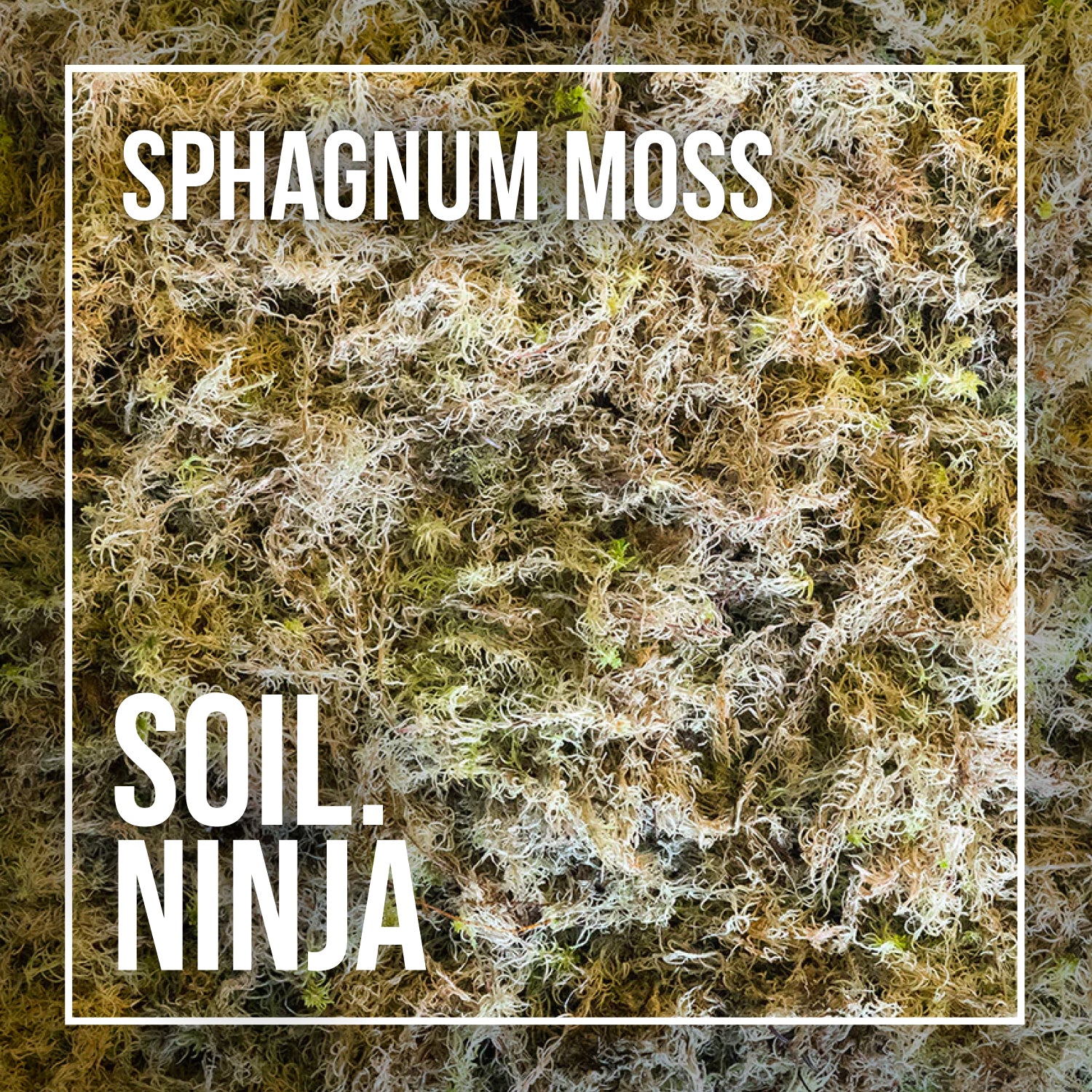 Sphagnum Moss – Soil Ninja