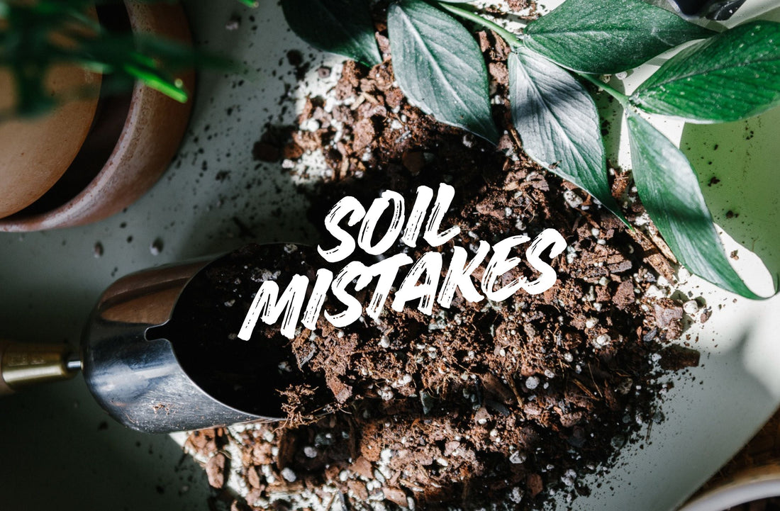 Soil Mistakes