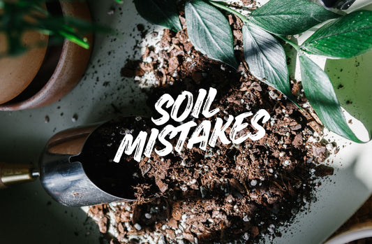 Soil Mistakes