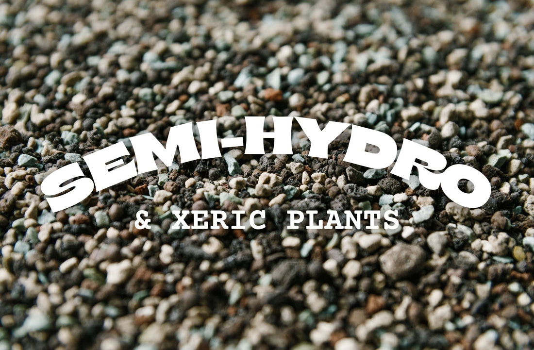 Semi-hydro and Xeric Plants.