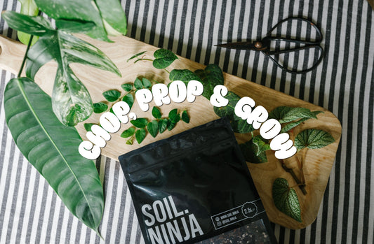 Chop, Prop and Grow!