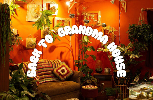 ‘Back to Grandma’s House’ – RHS Malvern Winners 2026 (Interview)