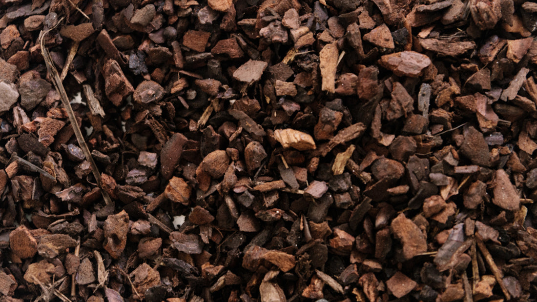 Understanding Bark - The Soil Ninja Component Guide