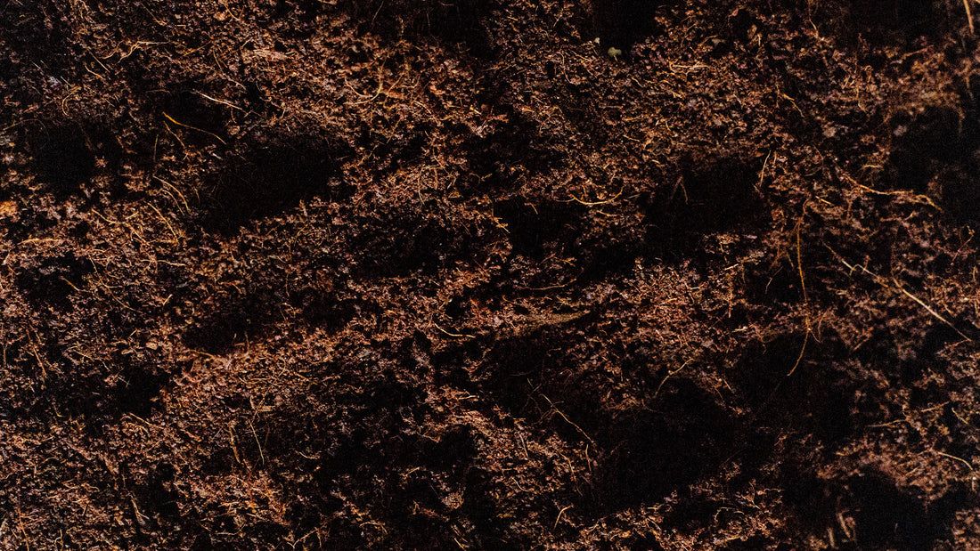 Understanding Coco Coir - The Soil Ninja Component Guide