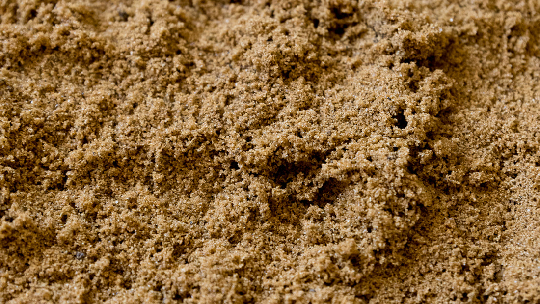 Understanding Horticultural Sand - The Soil Ninja Component Guide
