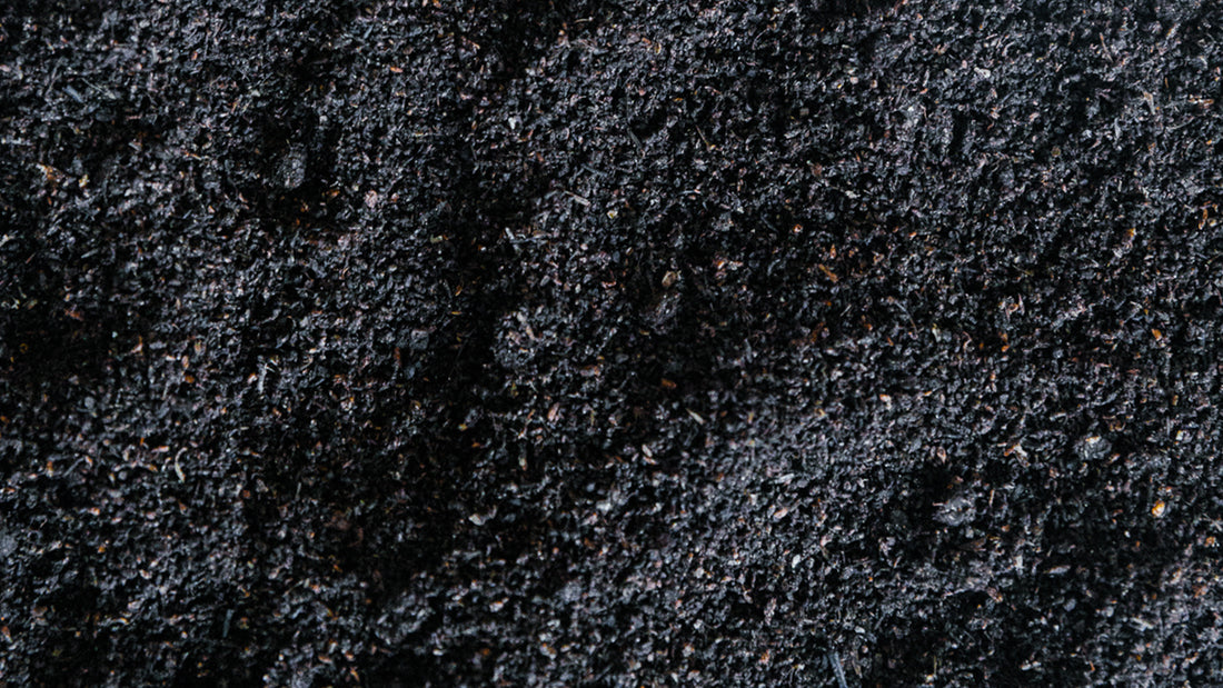 Understanding Worm Castings - The Soil Ninja Component Guide