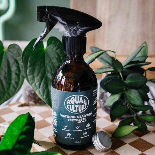Sea Mist Foliage Spray - 300ml