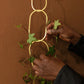 Brass Chain Plant Support