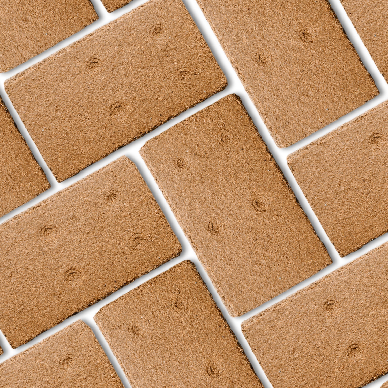 Mini Coco Blocks (6L) – Soil Ninja