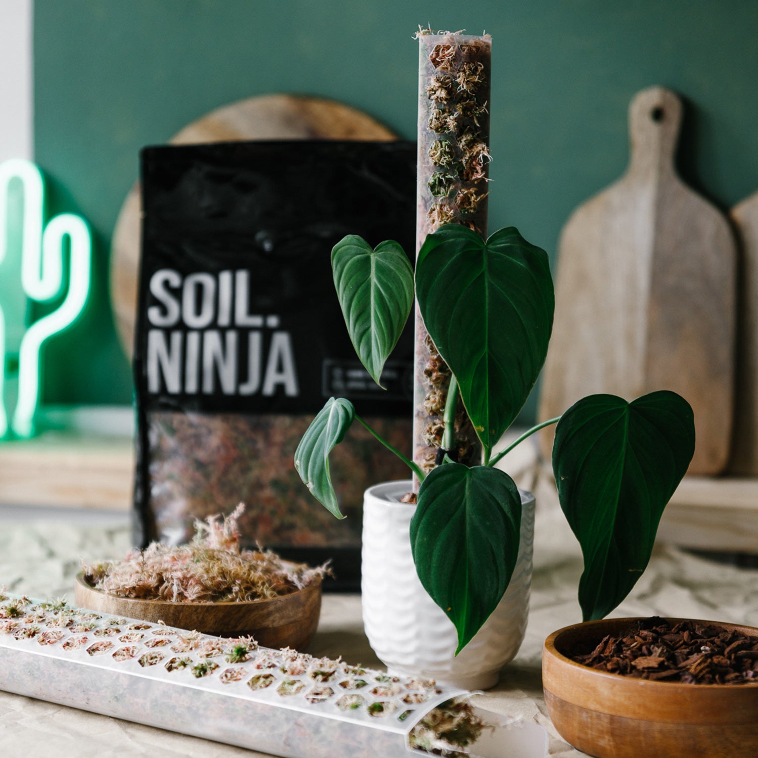 burlap moss pole Moss Poles – Soil Ninja