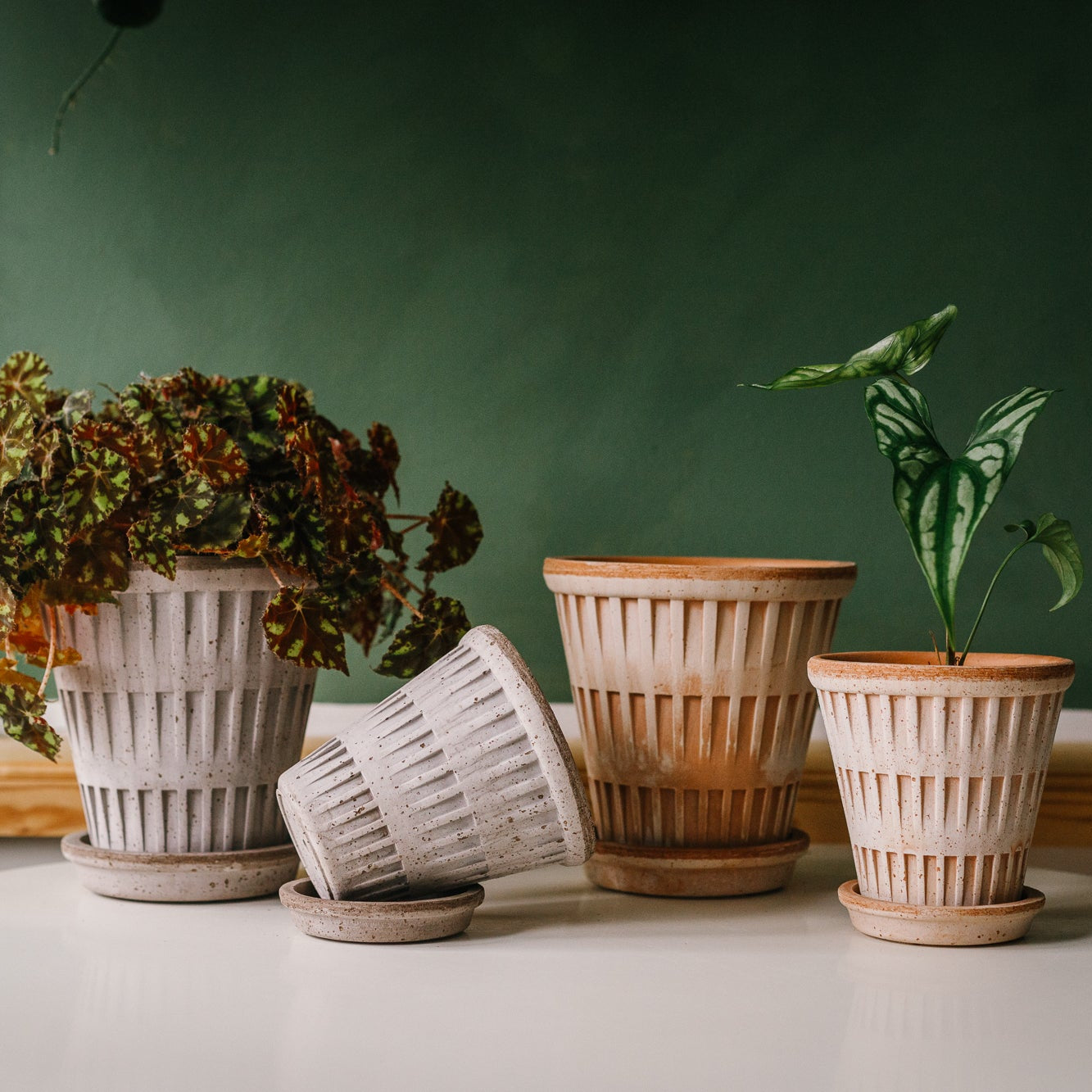 Pantheon Plant Pot