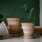 Pantheon Plant Pot