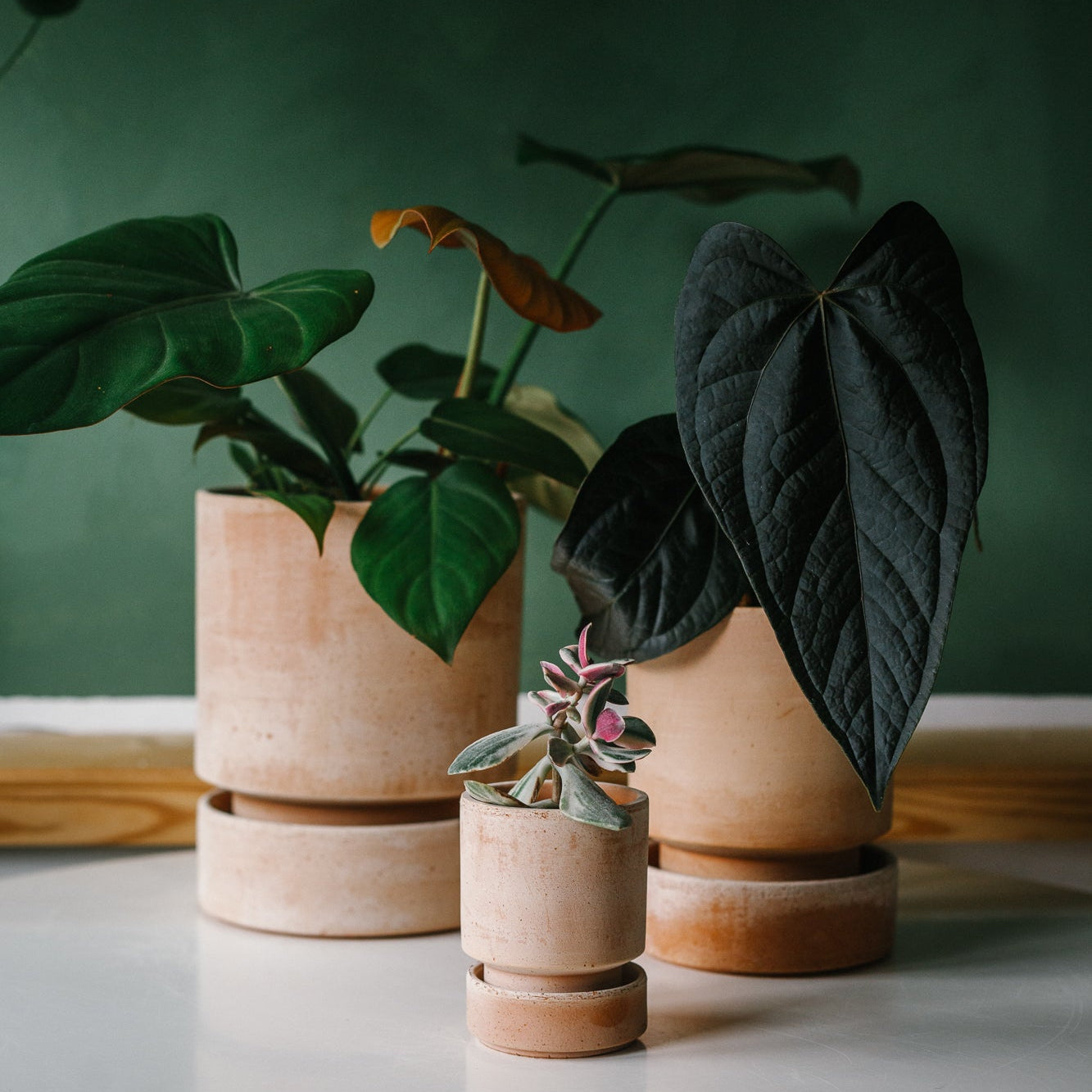 hoff plant pot Hoff Plant Pot – Soil Ninja