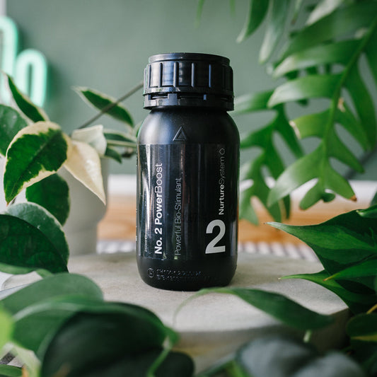 No.2 PowerBoost – 250ml