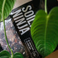 Premium Anthurium and Orchid Blend