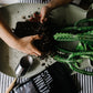 Premium Cacti & Succulent Blend