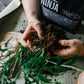 Potting Tarps