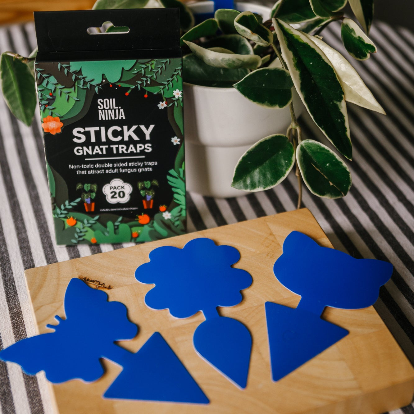 Sticky Gnats Traps