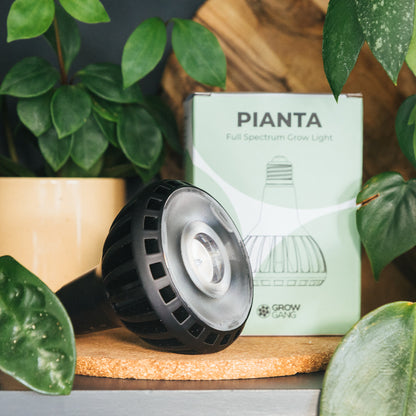 Pianta Grow Light