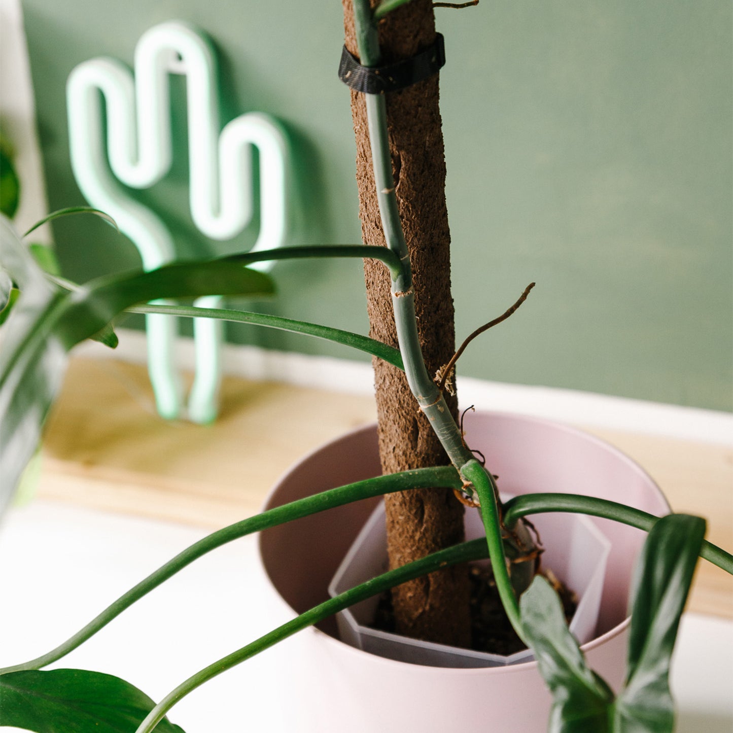 Biobased Climbing Pole