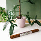 Biobased Climbing Pole
