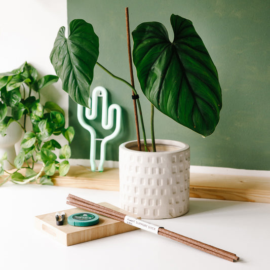 Plant Support Stick