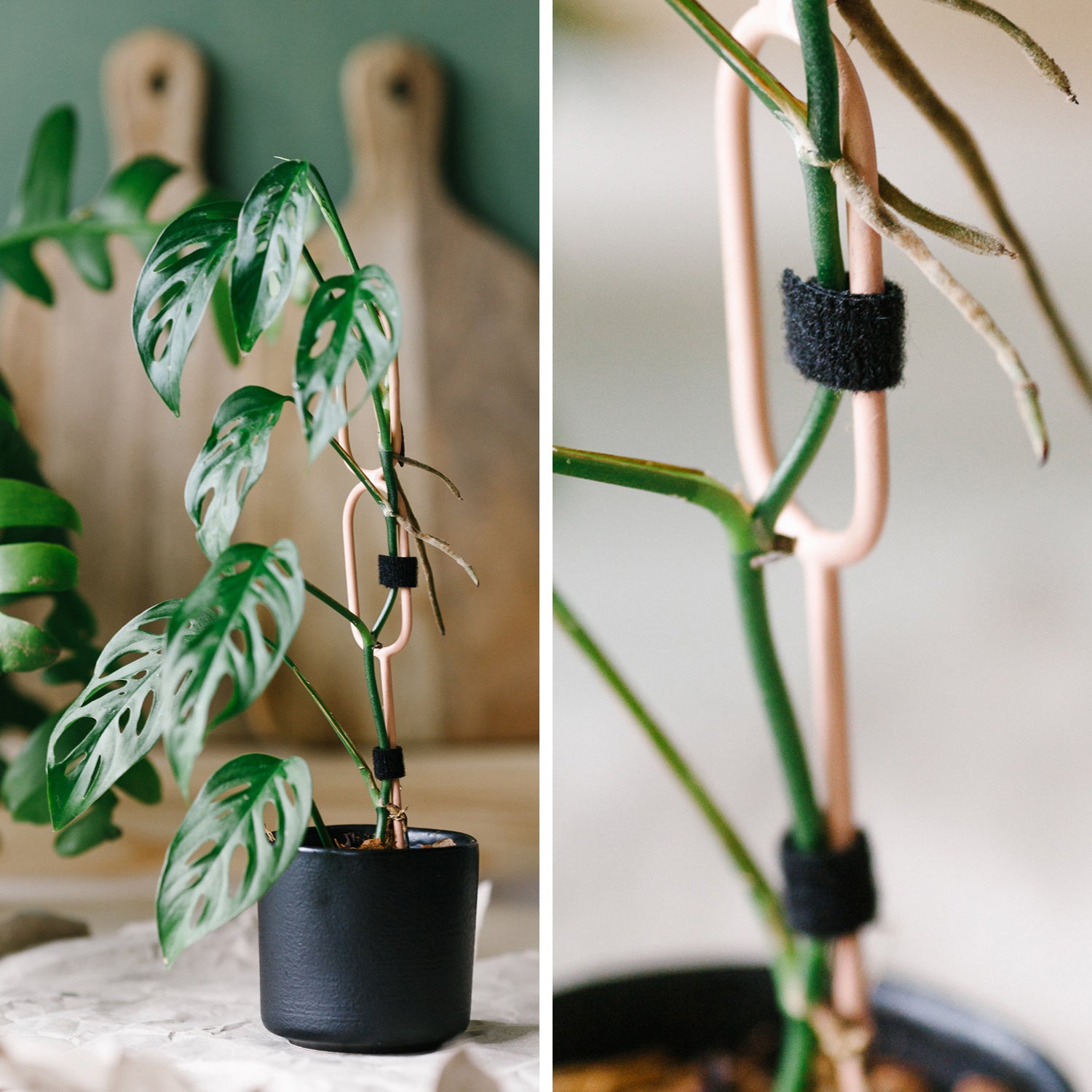 plant ties for indoor plants Velcro Plant Tie – Soil Ninja