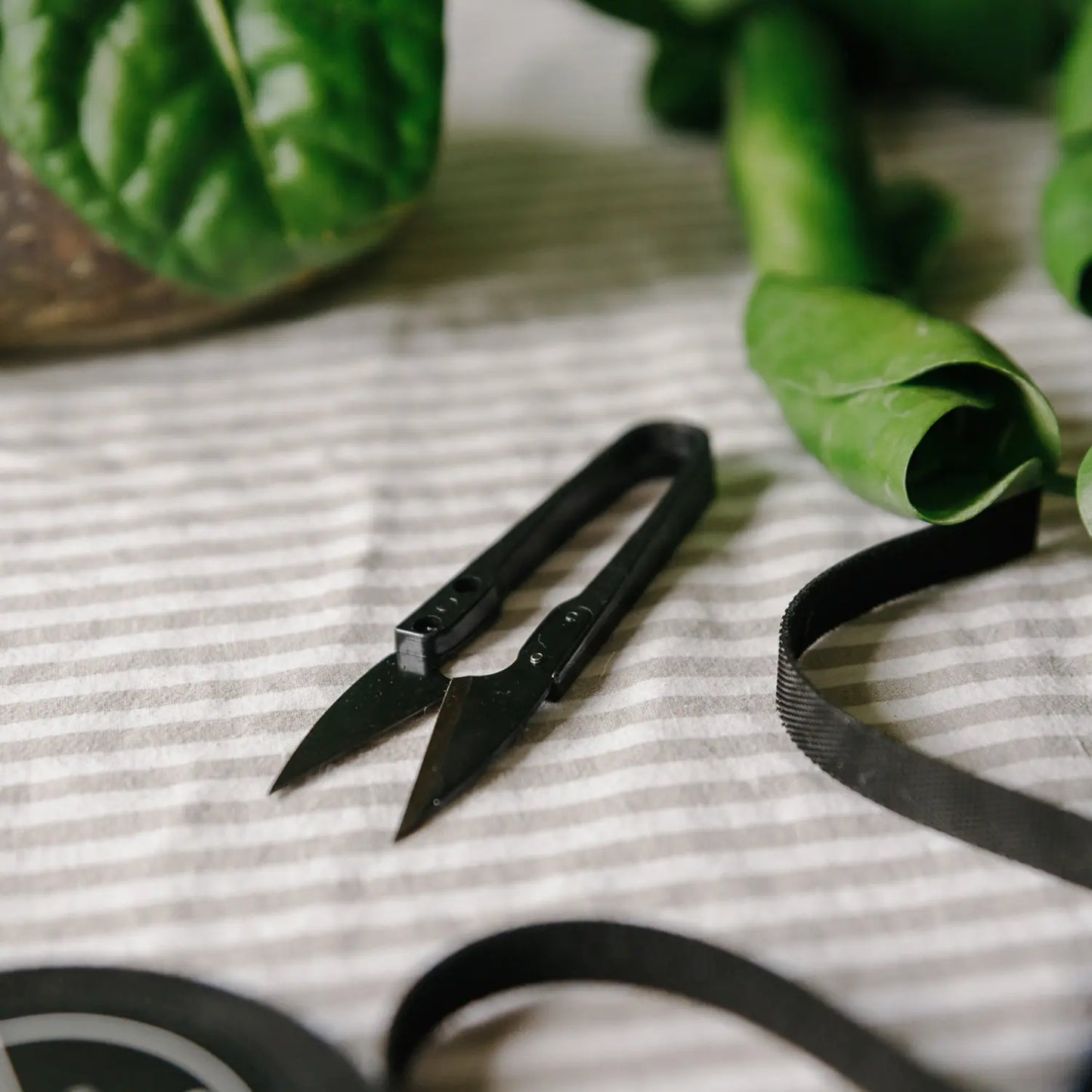 Houseplant Snips