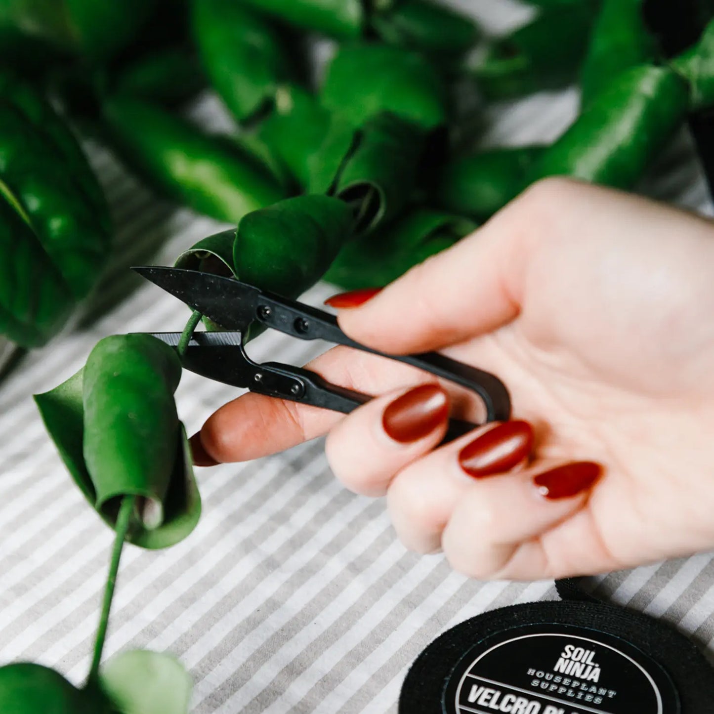 Houseplant Snips