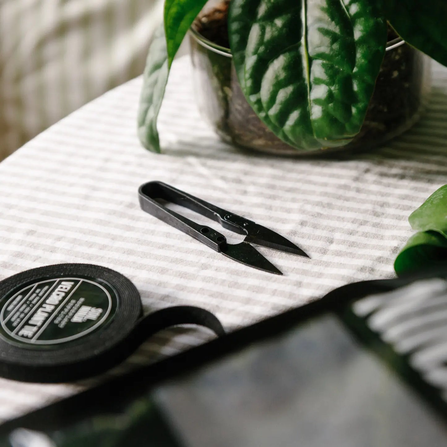 Houseplant Snips